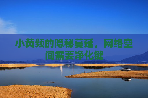 小黄频的隐秘蔓延,网络空间需要净化键 小黄频的隐秘蔓延,网络空间需要净化键