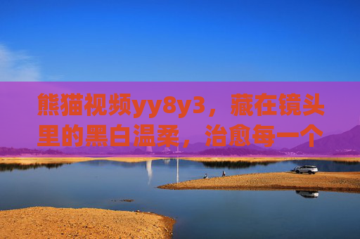 熊猫视频yy8y3，藏在镜头里的黑白温柔，治愈每一个疲惫日常