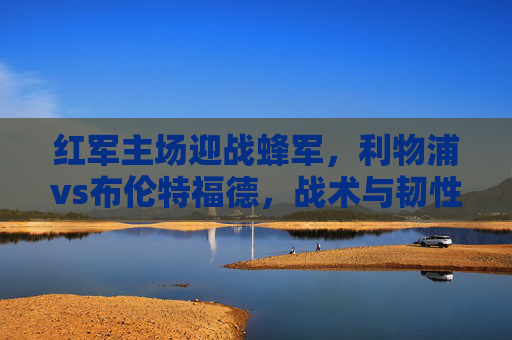 红军主场迎战蜂军,利物浦vs布伦特福德,战术与韧性的碰撞 红军主场迎战蜂军,利物浦vs布伦特福德,战术与韧性的碰撞