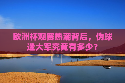 欧洲杯观赛热潮背后，伪球迷大军究竟有多少？