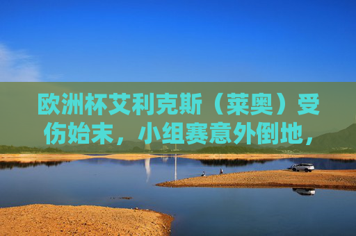 欧洲杯艾利克斯（莱奥）受伤始末，小组赛意外倒地，葡萄牙锋线失重要力将