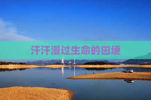 汗汗漫过生命的田埂 汗汗漫过生命的田埂