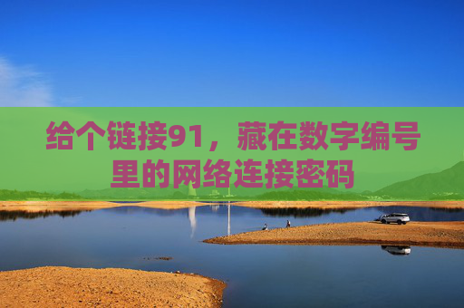 给个链接91,藏在数字编号里的网络连接密码 给个链接91,藏在数字编号里的网络连接密码