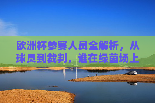欧洲杯参赛人员全解析,从球员到裁判,谁在绿茵场上驰骋? 欧洲杯参赛人员全解析,从球员到裁判,谁在绿茵场上驰骋?