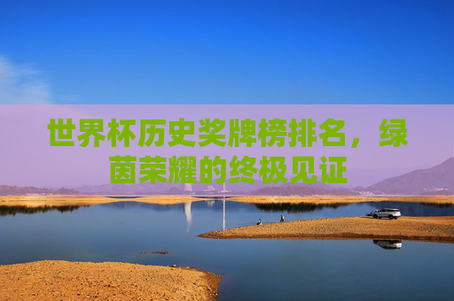 世界杯历史奖牌榜排名,绿茵荣耀的终极见证 世界杯历史奖牌榜排名,绿茵荣耀的终极见证