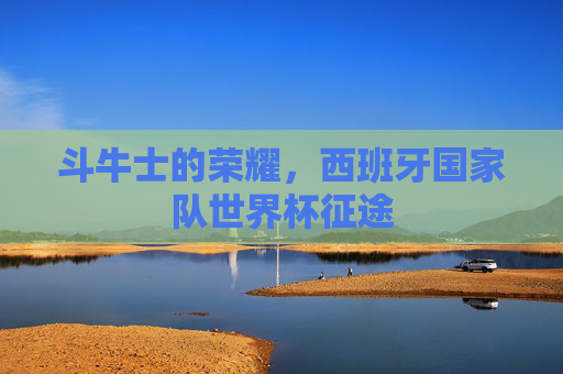 斗牛士的荣耀,西班牙国家队世界杯征途 斗牛士的荣耀,西班牙国家队世界杯征途