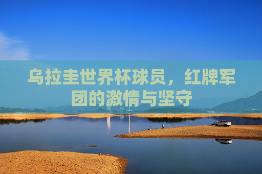 乌拉圭世界杯球员，红牌军团的激情与坚守