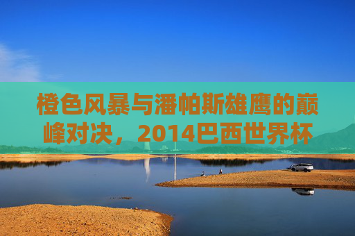 橙色风暴与潘帕斯雄鹰的巅峰对决,2014巴西世界杯荷兰阿根廷生死战 橙色风暴与潘帕斯雄鹰的巅峰对决,2014巴西世界杯荷兰阿根廷生死战