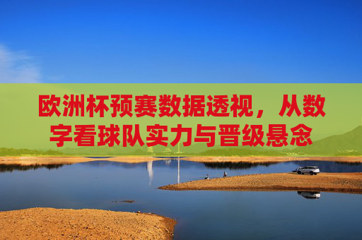 欧洲杯预赛数据透视，从数字看球队实力与晋级悬念
