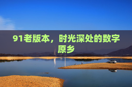 91老版本，时光深处的数字原乡