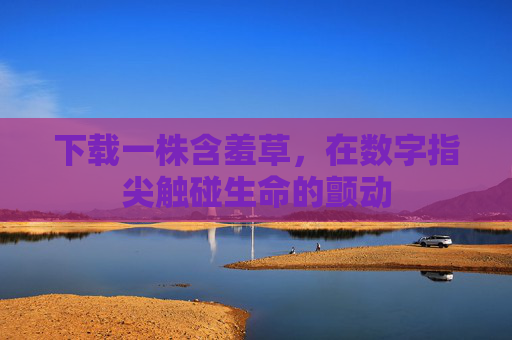 下载一株含羞草,在数字指尖触碰生命的颤动 下载一株含羞草,在数字指尖触碰生命的颤动