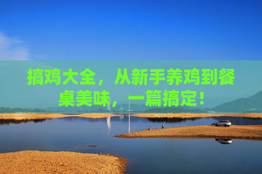 搞鸡大全,从新手养鸡到餐桌美味,一篇搞定! 搞鸡大全,从新手养鸡到餐桌美味,一篇搞定!