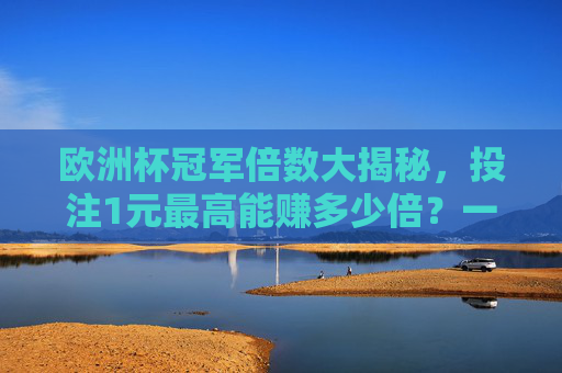 欧洲杯冠军倍数大揭秘,投注1元最高能赚多少倍?一场比赛背后的财富密码 欧洲杯冠军倍数大揭秘,投注1元最高能赚多少倍?一场比赛背后的财富密码