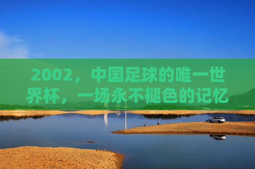 2002,中国足球的唯一世界杯,一场永不褪色的记忆 2002,中国足球的唯一世界杯,一场永不褪色的记忆