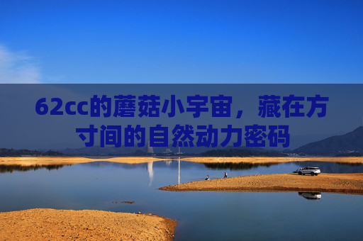 62cc的蘑菇小宇宙,藏在方寸间的自然动力密码 62cc的蘑菇小宇宙,藏在方寸间的自然动力密码