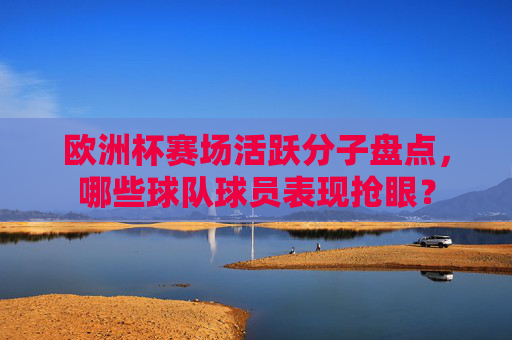 欧洲杯赛场活跃分子盘点,哪些球队球员表现抢眼? 欧洲杯赛场活跃分子盘点,哪些球队球员表现抢眼?