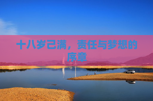 十八岁己满，责任与梦想的序章