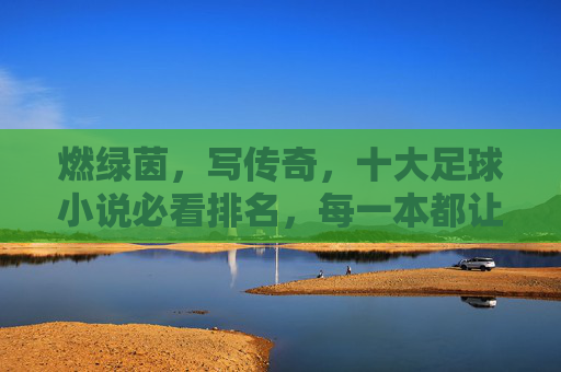 燃绿茵,写传奇,十大足球小说必看排名,每一本都让你热血沸腾! 燃绿茵,写传奇,十大足球小说必看排名,每一本都让你热血沸腾!