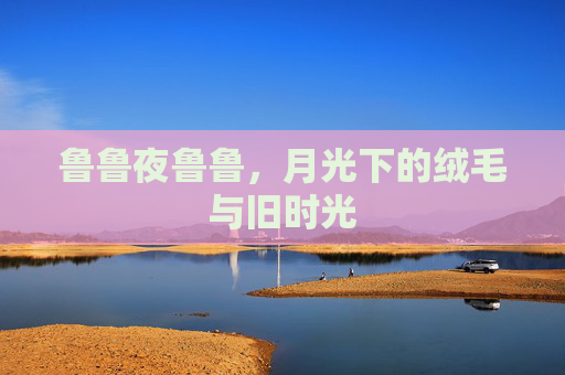 鲁鲁夜鲁鲁,月光下的绒毛与旧时光 鲁鲁夜鲁鲁,月光下的绒毛与旧时光