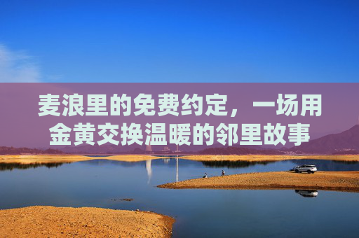 麦浪里的免费约定,一场用金黄交换温暖的邻里故事 麦浪里的免费约定,一场用金黄交换温暖的邻里故事
