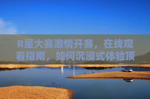 R星大赛激情开赛,在线观看指南,如何沉浸式体验顶级游戏对决 R星大赛激情开赛,在线观看指南,如何沉浸式体验顶级游戏对决