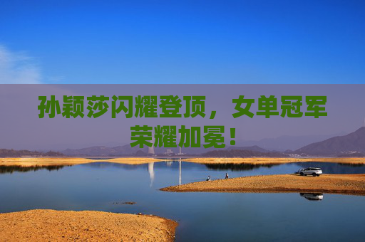 孙颖莎闪耀登顶,女单冠军荣耀加冕! 孙颖莎闪耀登顶,女单冠军荣耀加冕!