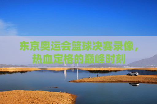 东京奥运会篮球决赛录像,热血定格的巅峰时刻 东京奥运会篮球决赛录像,热血定格的巅峰时刻