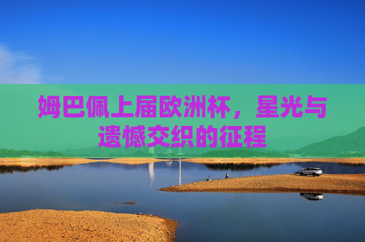 姆巴佩上届欧洲杯,星光与遗憾交织的征程 姆巴佩上届欧洲杯,星光与遗憾交织的征程