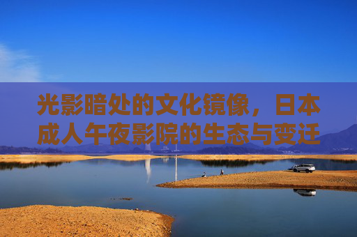 光影暗处的文化镜像,日本成人午夜影院的生态与变迁 光影暗处的文化镜像,日本成人午夜影院的生态与变迁