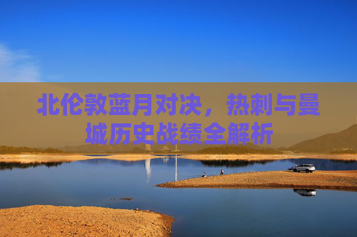 北伦敦蓝月对决,热刺与曼城历史战绩全解析 北伦敦蓝月对决,热刺与曼城历史战绩全解析