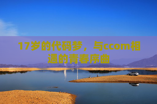 17岁的代码梦,与ccom相遇的青春序曲 17岁的代码梦,与ccom相遇的青春序曲