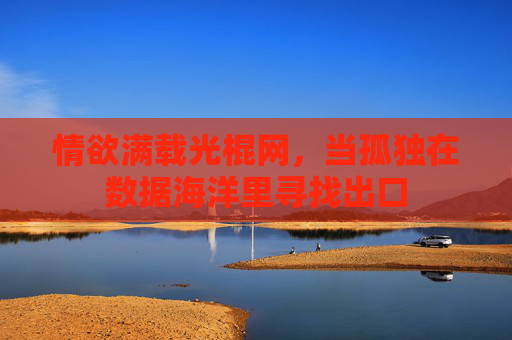 情欲满载光棍网,当孤独在数据海洋里寻找出口 情欲满载光棍网,当孤独在数据海洋里寻找出口