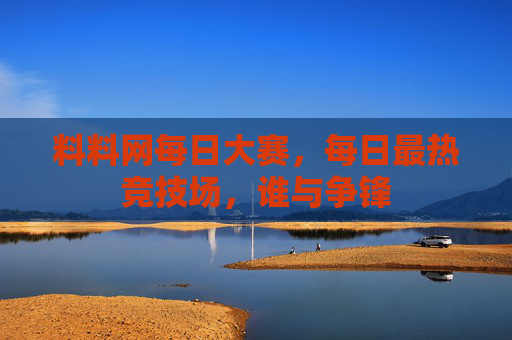 料料网每日大赛,每日最热竞技场,谁与争锋 料料网每日大赛,每日最热竞技场,谁与争锋