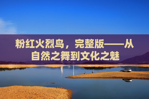粉红火烈鸟,完整版——从自然之舞到文化之魅 粉红火烈鸟,完整版——从自然之舞到文化之魅