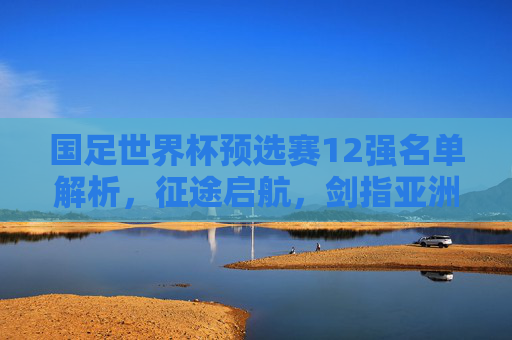 国足世界杯预选赛12强名单解析,征途启航,剑指亚洲之巅 国足世界杯预选赛12强名单解析,征途启航,剑指亚洲之巅