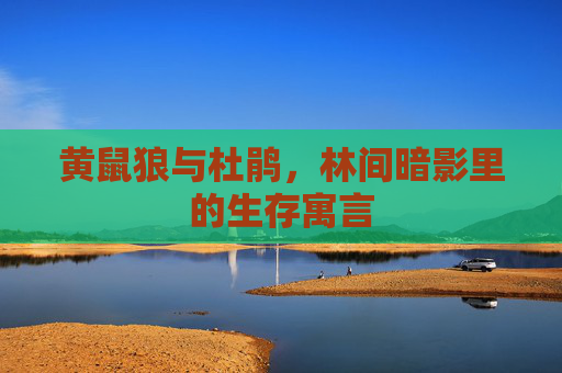 黄鼠狼与杜鹃，林间暗影里的生存寓言