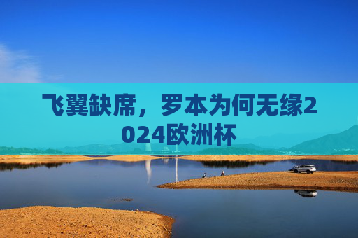 飞翼缺席，罗本为何无缘2024欧洲杯