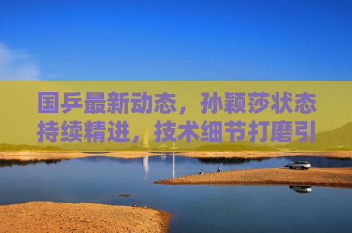 国乒最新动态,孙颖莎状态持续精进,技术细节打磨引关注 国乒最新动态,孙颖莎状态持续精进,技术细节打磨引关注