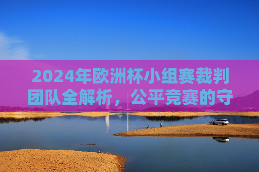 2024年欧洲杯小组赛裁判团队全解析,公平竞赛的守护者 2024年欧洲杯小组赛裁判团队全解析,公平竞赛的守护者