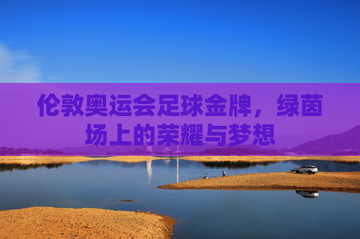 伦敦奥运会足球金牌,绿茵场上的荣耀与梦想 伦敦奥运会足球金牌,绿茵场上的荣耀与梦想