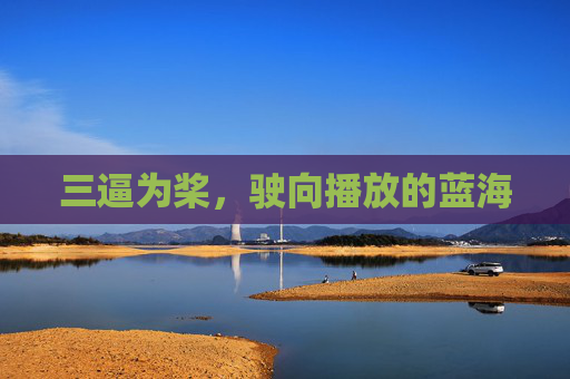 三逼为桨,驶向播放的蓝海 三逼为桨,驶向播放的蓝海