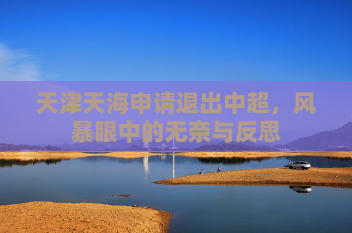 天津天海申请退出中超，风暴眼中的无奈与反思