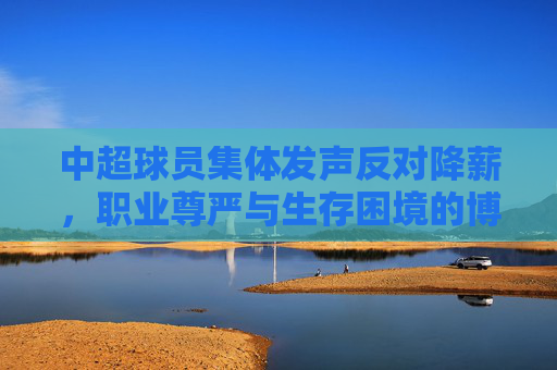 中超球员集体发声反对降薪,职业尊严与生存困境的博弈 中超球员集体发声反对降薪,职业尊严与生存困境的博弈