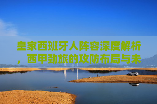皇家西班牙人阵容深度解析，西甲劲旅的攻防布局与未来展望