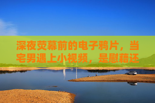 深夜荧幕前的电子鸦片，当宅男遇上小视频，是慰藉还是陷阱？