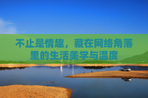 不止是情趣,藏在网络角落里的生活美学与温度 不止是情趣,藏在网络角落里的生活美学与温度