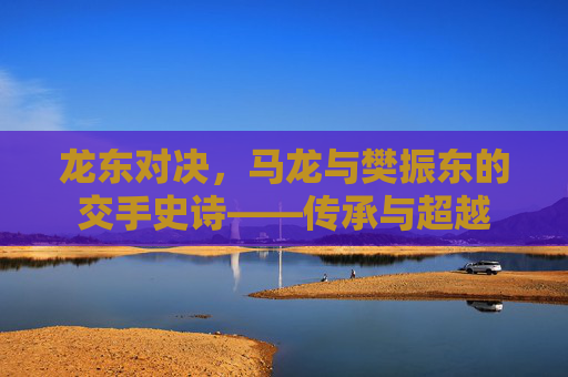 龙东对决，马龙与樊振东的交手史诗——传承与超越