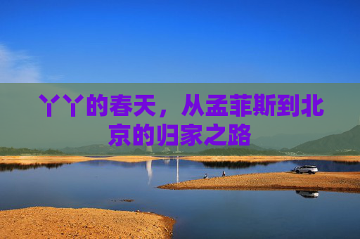 丫丫的春天，从孟菲斯到北京的归家之路