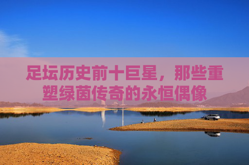 足坛历史前十巨星,那些重塑绿茵传奇的永恒偶像 足坛历史前十巨星,那些重塑绿茵传奇的永恒偶像