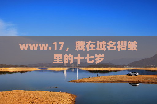 www.17,藏在域名褶皱里的十七岁 www.17,藏在域名褶皱里的十七岁